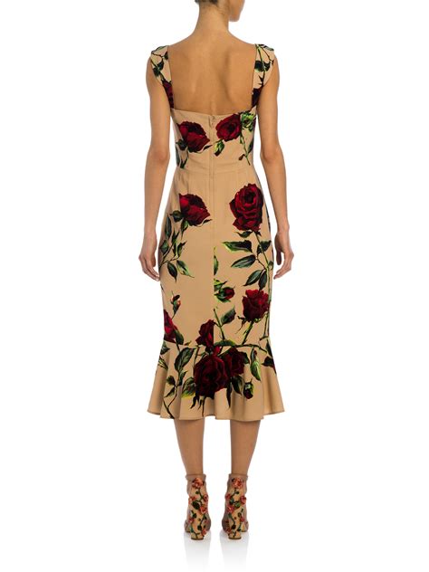 vintage dolce gabbana roses dress|dolce gabbana rose print midi dress.